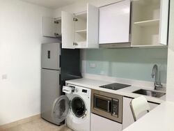 Eight Riversuites (D12), Condominium #590028961